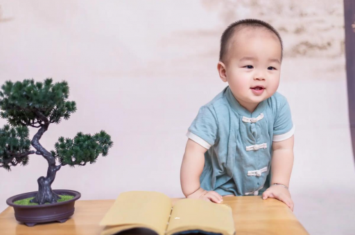 清镇可爱的企鹅宝宝